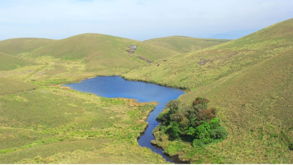 eravikulam National Park 