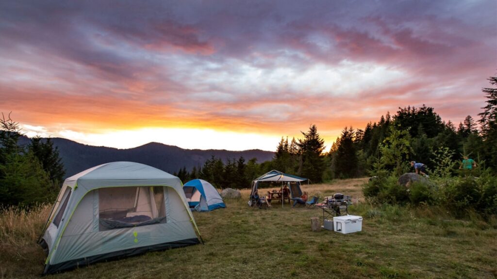 leave camping
